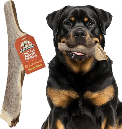 Heartland Elk Antlers for Dogs - Daily Dental Care Chews for Aggressive Chewers to Reduce Plaque & Prevent Destructive Behavior (Splinter Free, Split, 8", X-Large, 1-Pack, Grade A, USA Made)