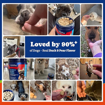 Dog Allergy Relief Chews – 180 Soft Chews, Duck & Pear Flavor - Immune Support & Itch Relief with Colostrum, Astragalus Root, 6-Strain Gut Health Blend