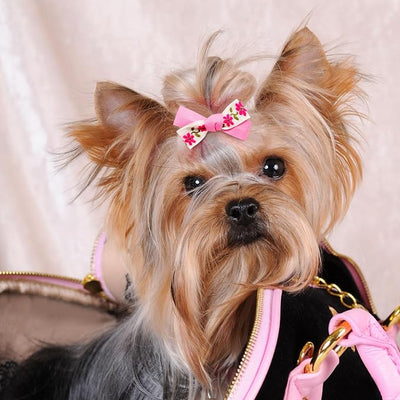 20Pcs Light Pink Small Dog Hair Bows with Rubber Bands, Handmade Puppy Grooming Bows Flower Ball Bowknot Top Knot Hair Accessories for Yorkie & Small Dogs