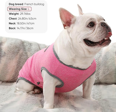 3 Pack Lightweight Sun Protection Dog Shirt Breathable Sleeveless Dog T Shirts Extra Soft Top Tank Dog Clothes for Outdoor Activities (Leather Pink + Light Blue + Light Pink, XX-Small)