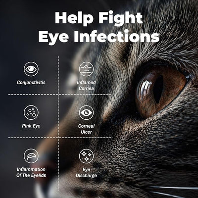 Pet Eye Care Cream for Cats, Dogs, Horses & Birds | Helps Clean Around Eyes, Supports Comfort & Moisture | Double Pack (2 x 3.5 g)