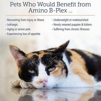 Rx Vitamins Amino B-Plex Cat & Dog Supplement - Vitamin B Complex Liquid Plus Amino Acids for Dogs & Cats - Appetite Booster and Cat & Dog Weight Gainer - Supplements & Vitamins - 8 oz