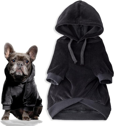 Pet Passion Cooper II Organic Cotton Velour Dog Hoodie Pet Coat for Small, Medium and Large Dogs, Black, XX-Small (4-7 lbs)