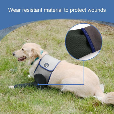 Coodeo Dog Recovery Suit, Cone Collar Alternative, Abrasion Resistant Dog Recovery Sleeve, Washable 2.5mm Thick and Waterproof, Pet Wounds Prevent Licking, Bite, Keep Dry（Grey，S