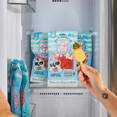 SPOT Pup Ice- Ready to Freeze at Home Dog Treats-Edible Chews for Small Breed Dogs & Puppies with Real Chicken to Keep Your Pup Cool Year Round, Fruity Lollies Pineapple Flavor, 3pcs
