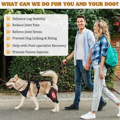 Dog Knee Braces for Back Leg, Adjustable Dog Leg Braces for Torn ACL Hind Leg with Metal Stabilizers, Better Recovery Knee Brace for Rear Leg Cruciate Ligament Injuries & Hip Dysplasia, M