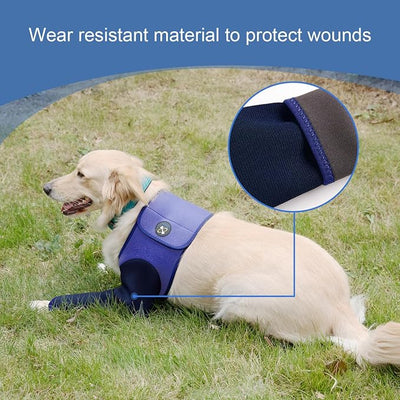 Coodeo Dog Recovery Suit, Cone Collar Alternative, Abrasion Resistant Dog Recovery Sleeve, Washable 2.5mm Thick and Waterproof, Pet Wounds Prevent Licking, Bite, Keep Dry（Purple，XL
