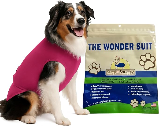 SurgiSnuggly Veterinary Invented Dog Surgical Recovery Suit for Female Spay or Male Dogs Neuters Onesie,Cone Alternative, Original Onesie Bodysuit for After Surgery Small, Medium, Large Dogs Pi XL Ec