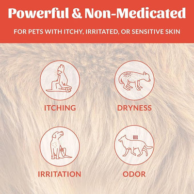 Skout's Honor Probiotic Itch Relief Shampoo for Pets - Non-Medicated, Fragrance-Free, Paraben & Sulfate-Free, with Avocado Oil & Omega 3's, 8oz, 2-Pack
