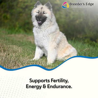 Breeder's Edge Oxy Stud Meat Chews, Designed for Male Dogs and Cats for Breeding Season, Provides Essential Vitamins and Minerals, and Natural Herbs Help to Reproductive Health, 30 ct