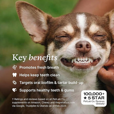 PetLab Co. ProBright Dental Powder - Dog Breath Freshener - Teeth Cleaning Made Easy – Targets Tartar & Bad Breath - Formulated for Small Dogs - Packaging May Vary