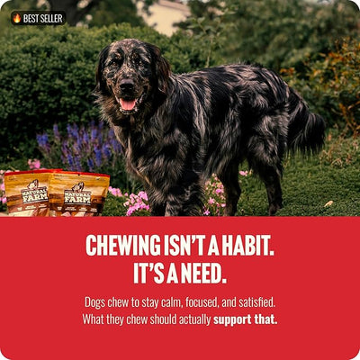 Natural Farm Odor Free Bully Sticks (4 Inch, 25 Pack) for Small & Medium Dogs - 100% Beef Chews for Pups, Non-GMO, Grain-Free, Fully Digestible Long Lasting Dog Treats