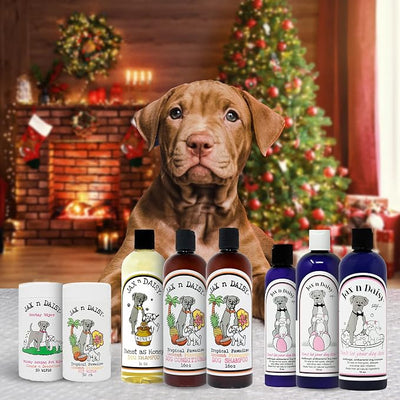 Jax N Daisy Dog Shampoo & Lotion Itch Relief for Dogs | Gentle, Soothing Care for Sensitive & Dry Skin | Eliminates Odors, Soothes Flea Bites & Itchy Skin | Friendly for Puppies | 16 Oz Each