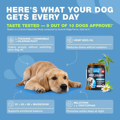 Hemp Calming Chews for Dogs - Dog Calming Treats - Anxiety Relief for Dogs with L-Theanine, Chamomile Extract, Valerian Root - Dog Anxiety Relief for Travel, Vet Visits, Thunderstorms, Nail Trimming