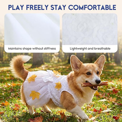 ASENKU Dog Dress Pet Wedding Dress Princess Lace Puppy Birthday Party Outfit Formal Apparel Girl for Small Medium Dogs Cats (XL, White)