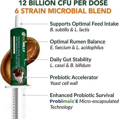 Ruminant Probiotic Paste 80CC for Cattle, Goats & Livestock – Prebiotic + Probiotic 6 Strains,12B CFU, Vitamin E & Minerals – Digestive, Rumen & Immune Support, Calving