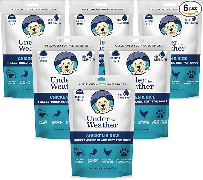 Bland Diet for Dogs | Easy to Digest for Sick Dogs | Always Be Ready | Contains Electrolytes - All Natural Freeze Dried 100% Human Grade Meats | 6 Pack - Chicken, Rice - 6oz