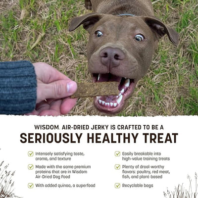 Earth Animal Wisdom Air Dried Jerky - from the Seed Recipe Premium Natural Plant Based Jerky Strips Dog Treats - 4 oz Bag