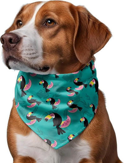 W Brings Bandana for Dogs | This Stunning Gorgeous Design Dog Bandana Scarf is Perfect Styling Accessory for Dogs Large, Medium & Small. One Size Fits All. (Medium - Large, Toucan Watermelon)