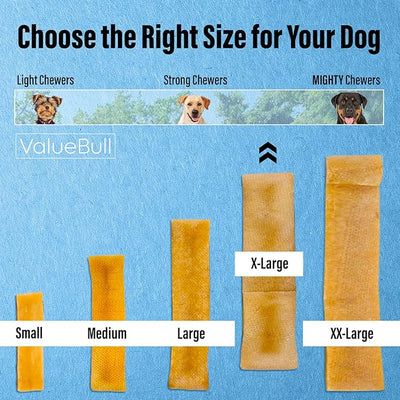 ValueBull Himalayan Yak Cheese Dog Chews, Extra Large, 50 ct Wholesale Pack - Long Lasting for Aggressive Chewers, All Natural, Healthy & Safe, Low Odor Nepal Yak Milk Chews