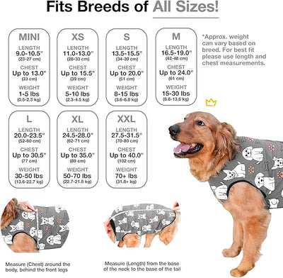 BellyGuard Dog Surgery Recovery Suit, Post-Op Dog Recovery Suit for Female Spay & Male Neuter, Comfy Onesie for Pets, Surgical Body Cover for Canine Healing Support