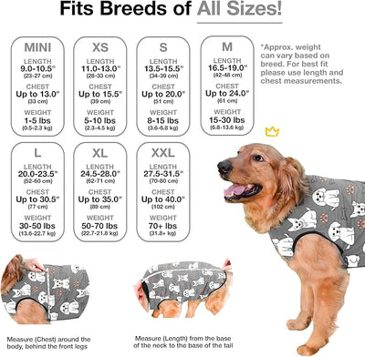 BellyGuard Dog Surgery Recovery Suit, Post-Op Dog Recovery Suit for Female Spay & Male Neuter, Comfy Onesie for Pets, Surgical Body Cover for Canine Healing Support