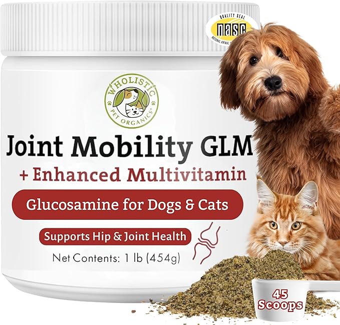 Hip and Joint Supplement for Dogs & Cats - Cat and Dog Joint Supplement - Green Lipped Mussels, Chondroitin, Glucosamine for Dogs & Cat Mobility Support - 1 Lb - 45 Scoops
