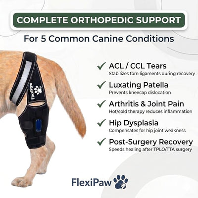 Dog Knee Brace for Torn ACL Hind Leg CCL, Luxating Patella & Hip Support with Cold Therapy, Stabilizer Rods, Anti-Slip Torso Strap & Reflective Trim Rear Leg Brace (Large)
