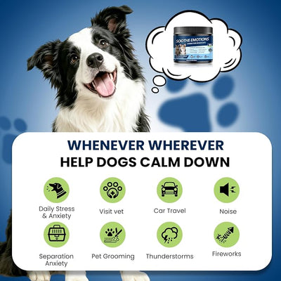 Calming Chews for Dogs, Dog Calming Chews Melatonin Anxiety Relief Bites | Dog Melatonin calming treats, Sleep Aid for Small Medium Large Dogs, Thunder, Noise, Barking, Separation Anxiety, 90 Chews