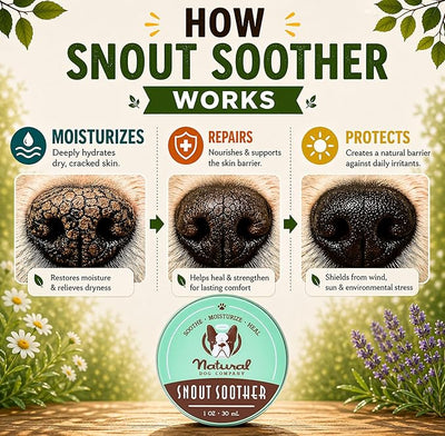 Natural Dog Company Snout Soother Dog Nose Balm – Moisturizer for Dry Crusty Noses, Summer Care for Outdoor Dogs, Hot Weather, Beach Days & Walks with Coconut Oil & Shea Butter, 2 oz Stick
