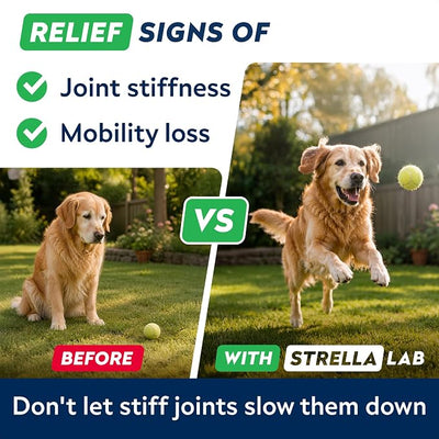 Advanced Hip & Joint Supplement for Dogs, w/Glucosamine & Omega-3-6 Fish Oil - Chondroitin MSM - Advanced Mobility Chews - Joint Pain Relief - Hip & Joint Care - Made in USA (180Ct)