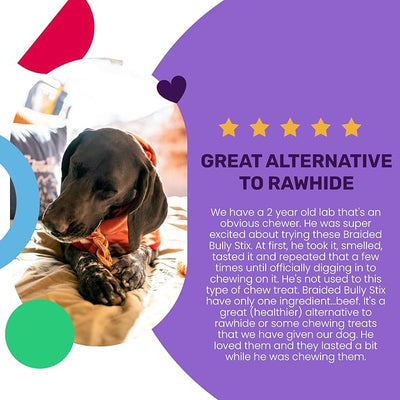 I AND LOVE AND YOU Free Ranger Braided Bully Stix - Beef - Rawhide Alternative, Single Ingredient, Free Range Grass Fed Beef, 6in, 3ct