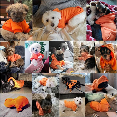 Jecikelon Soft Dog Hoodies for Small Dogs, Fleece Puppy Sweatshirt with Pockets, Warm Winter Cold Weather Coats for Pet Cat, Cute Clothes Puppy Costume (Orange, Medium)