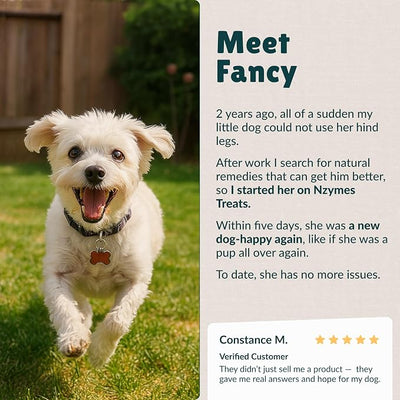 Nzymes® Antioxidant Tiny Treats - for Dogs Joints, HIPS, Paralysis, Skin, Coat, Hair Loss, Aging, Digestion, Seizures - Dog Treats for Small Dogs - 90 Treats - Made in The USA