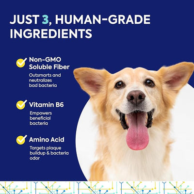 Teef For Life Protektin42+K Plant-Derived Daily Dental Care for All Pets (Sodium-Free), Prebiotic Dental Powder, Naturally Fights Plaque and Tartar, Kit with 90 Servings