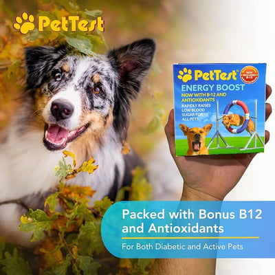 PetTest Energy Boost Glucose SOS 3x10ml Tubes for Pets, Instantly Increases Low Blood Sugar with B12 and Antioxidants, Fast Acting, Meat Flavoured, Rapid Recovery for Active or Diabetic Dogs & Cats