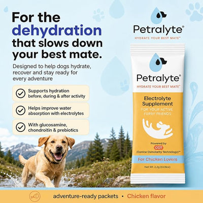 Petralyte Dog Electrolytes and Joint Supplement | Hydration Support for Dogs w/Glucosamine, Chondroitin & More | Electrolytes for Dogs with Prebiotics | for Chicken Lovers | 32 Packets