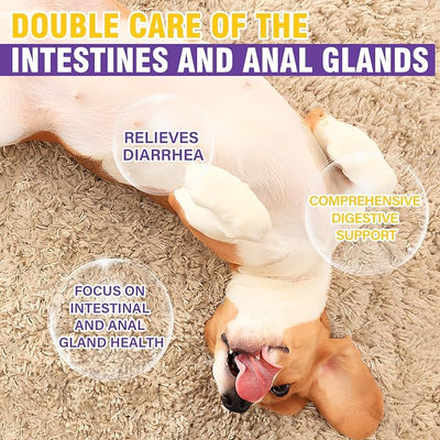 Dog Anal Gland Soft Chews 150 Stop Scoot for Dogs Supports Anal Gland Bowel Function Digestive Health Fiber Pumpkin Supplement for Dogs Pet Diarrhea Bowel Support Probiotics Digestive (Chicken Flavor)