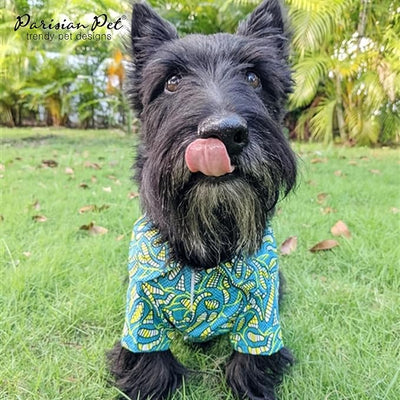 Parisian Pet Tribal Dog Shirt - Cotton Clothes for Small Dogs - Stylish Tropical Dog Outfit - Lightweight and Soft Puppy Clothes - Trendy Tshirts for Dogs - Comfortable Summer Camp Pet Apparel