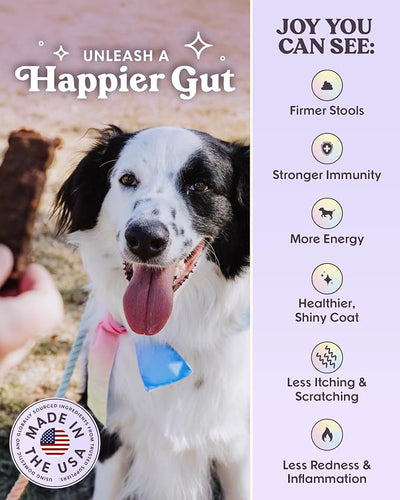 Bundle x Joy Ride & Vibe Wild-Caught Salmon Jerky for Dogs - 16 Oz Bag - Corn, Poultry, Soy & Grain Free Salmon Dog Treats Made in USA