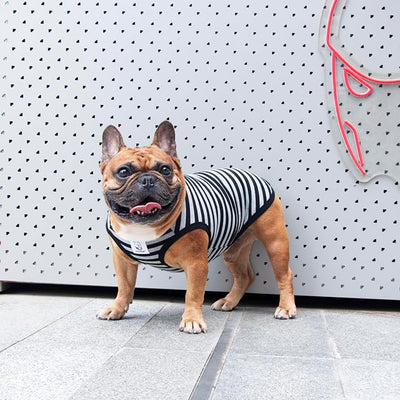 iChoue French Bulldog 100% Breathable Cotton Striped T Shirts Halloween Vest Clothes for Small Dogs Tank Tops Puppy Frenchie Pug English Boston Terrier Pitbull Grey Black Stripes - Medium