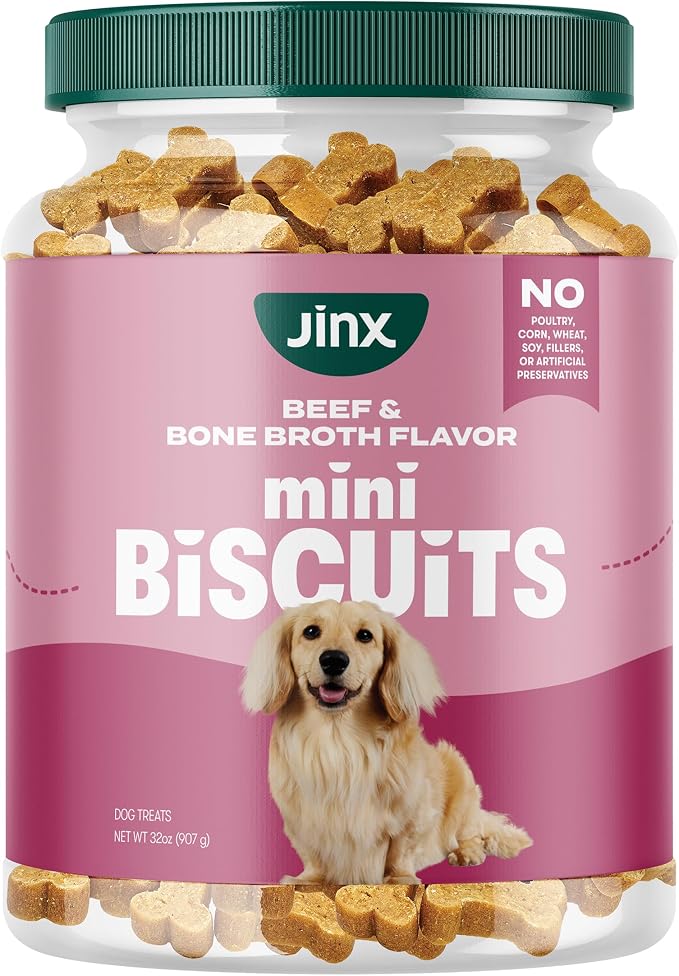 Oven-Baked Beef Bone Broth Mini Biscuit Dog Treats - Crunchy, All Natural, Superfood-Rich with Grass-Fed Beef, Dog Biscuits for Puppies, Adults & Seniors - 32oz