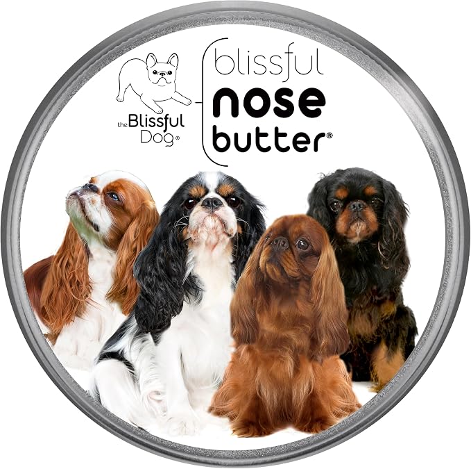 English Toy Spaniel Unscented Nose Butter