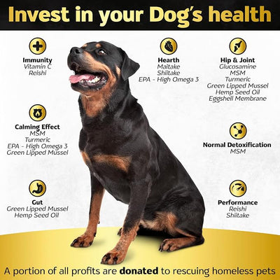 Premium Hip and Joint Supplement for Dogs, Glucosamine for Dogs with Chondroitin, MSM, Turmeric & Omega 3, Daily Dog Joint Supplement Soft Chews, Bacon, 30 Count