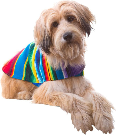 Dog Clothes - Handmade Dog Poncho from Authentic Mexican Blanket by Baja Ponchos (Blue, X-Large)