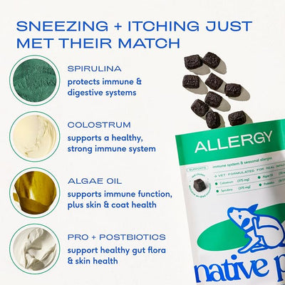 Native Pet Dog Allergy Chews - Dog Allergy Relief for Medium Breeds - Supports Seasonal Itch Relief, Healthy Immune Function & Reduces Sneezing - Colostrum, Spirulina, & Probiotics - 120 Days Supply
