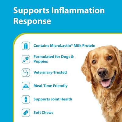 PRN Pharmacal Duralactin Canine Soft Chews - Joint Health Supplement for Dogs & Puppies - Supplement with Dried Milk Protein - 90 Count