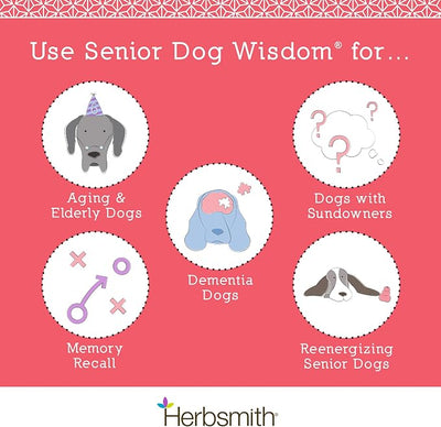 Herbsmith Senior Dog Wisdom – Dog Dementia Supplement – DHA for Senior Dog Brain Health - Senior Supplement for Dogs- 60ct Small Chews