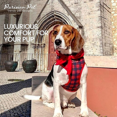 Parisian Pet Red Plaid Dog Harness - Breathable No Pull Puppy Harness with Leash Ring - Adjustable Harnesses for Dogs - Soft Padded Step-in Pet Vest - Lightweight Dog Vests for Medium Sized Dogs