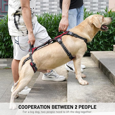 COODEO Mobility Dog Lift Harness, Support Sling & Walking Sling for Dogs, Pet Rear Leg Rehabilitation Support Vest, Dog Carrier for Senior Dogs with Joint Injuries, Arthritis, Up Stair (Red, S)